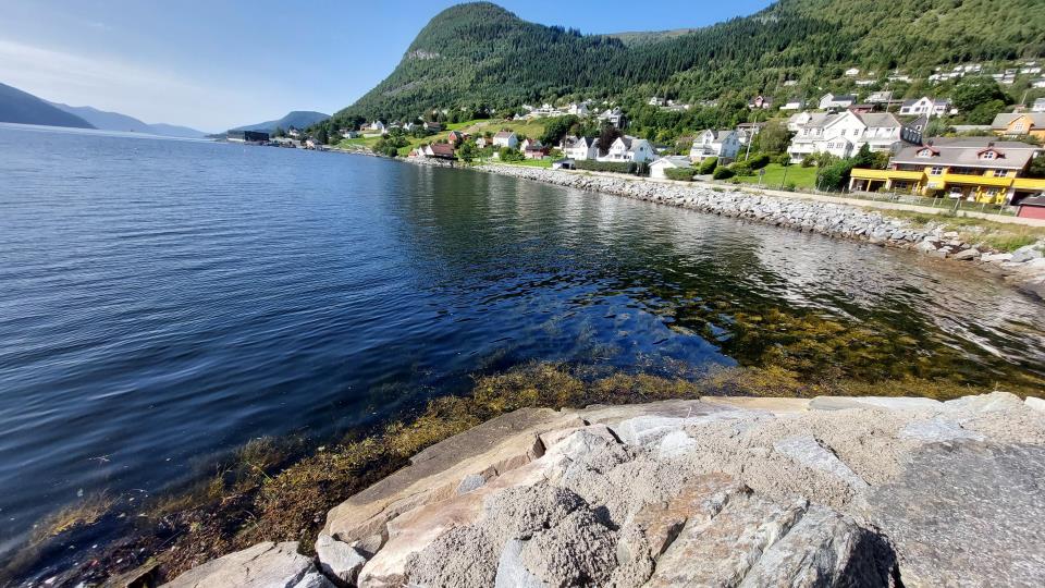 Lenkje til artikkel: Kartlegging av naturmangfald i Prestevika på Nordfjordeid