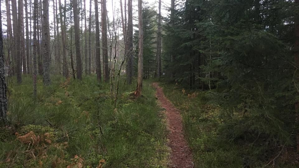 Lenkje til artikkel: Sommarjobb for ungdom 